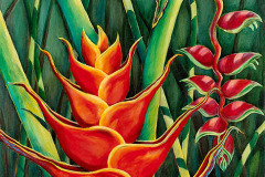 Heliconia