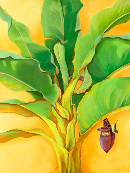 Banana Bird