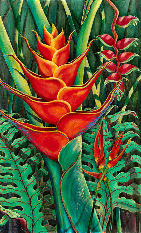 Heliconia